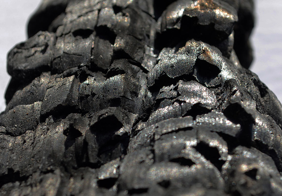 Verbranntes Holz, Detail, 2023 | © Claudia Bachmann